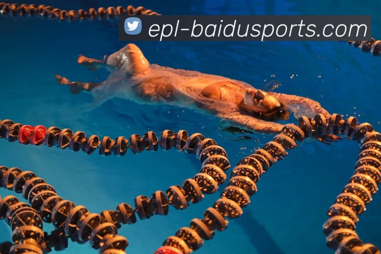 百度体育APP 封面图